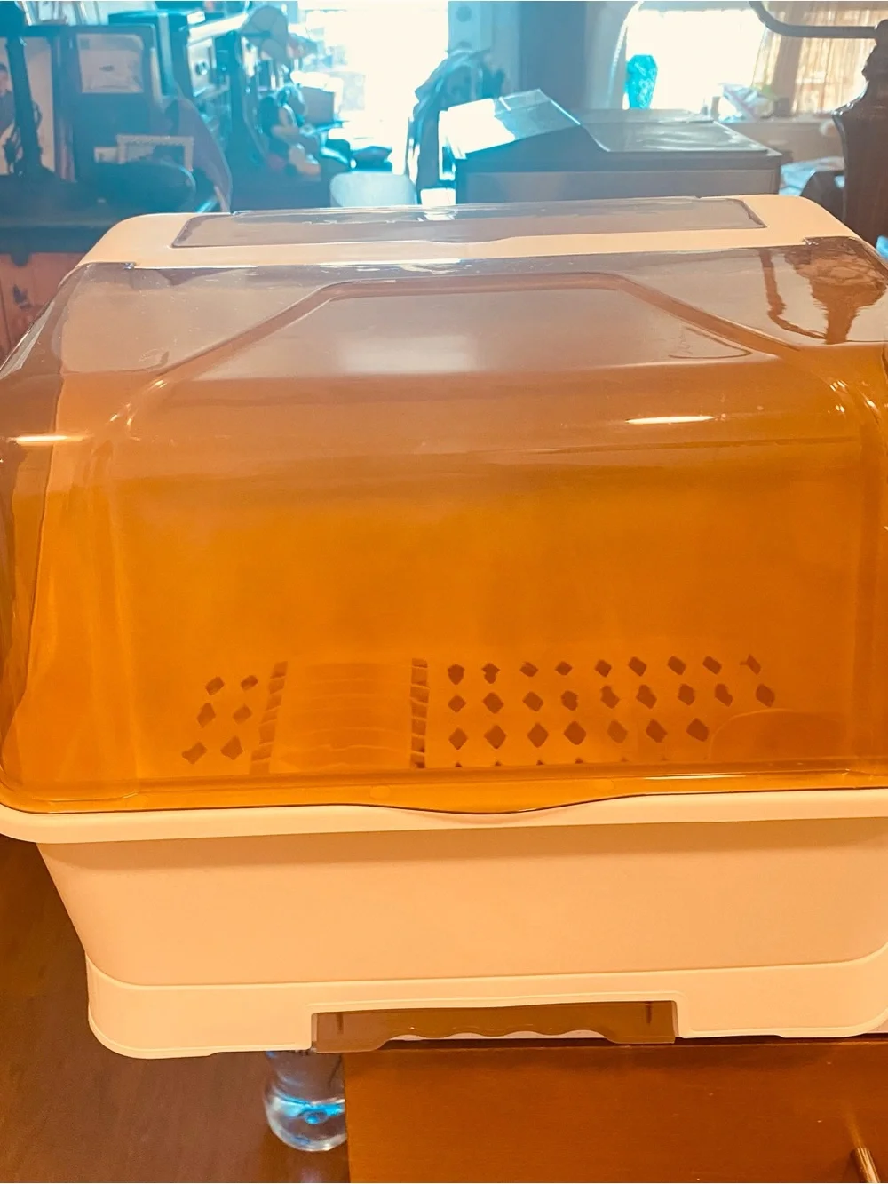 Dish Drainer covered
